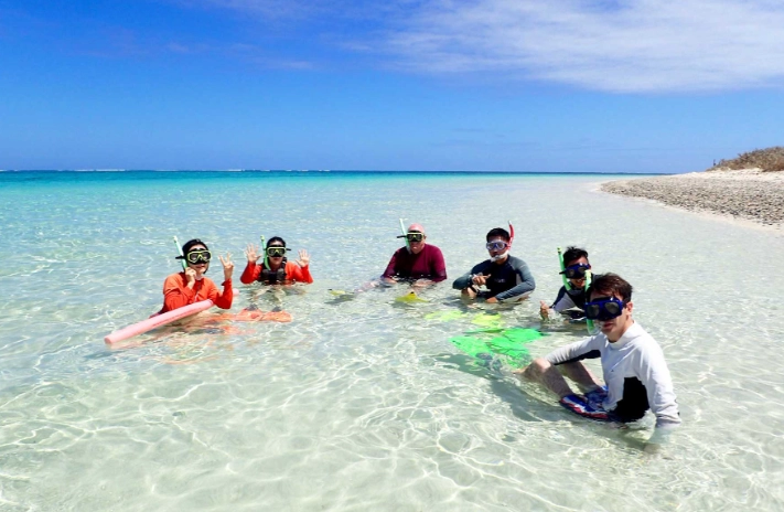 group snorkeling tours
