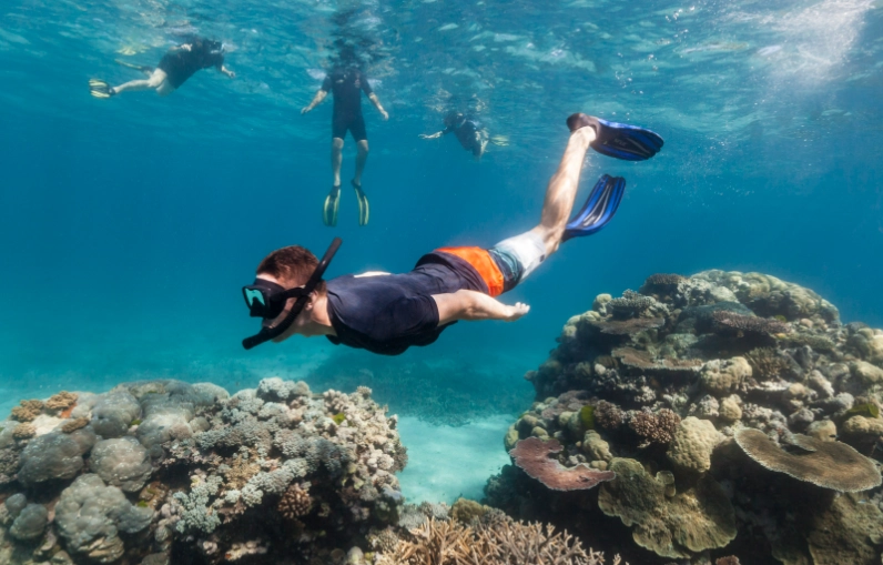 snorkeling conservation tips