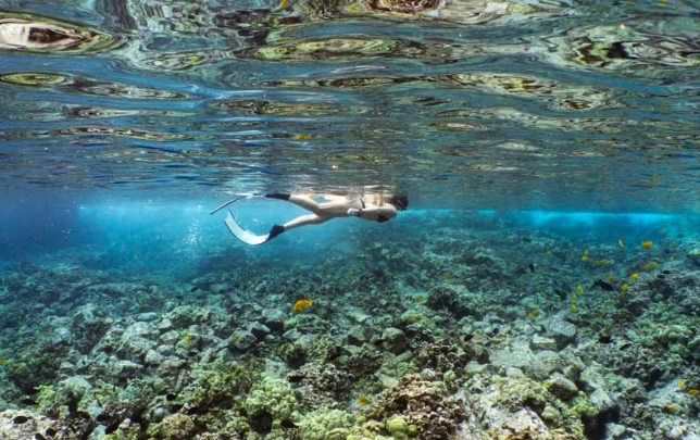 best calm snorkeling spots