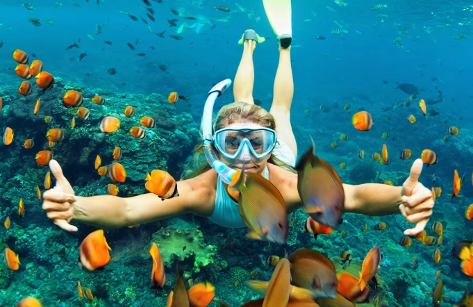 best snorkeling spots