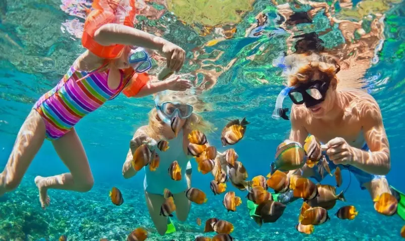 family snorkeling tips