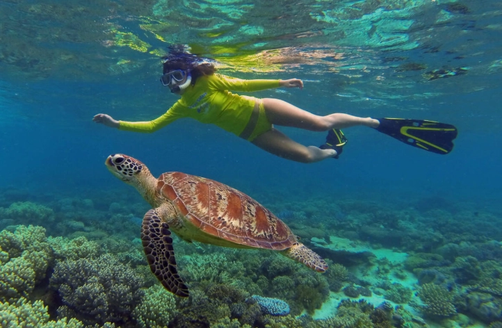 best snorkeling tours for groups