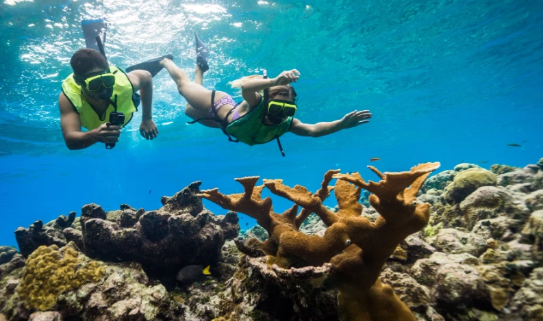 best coral reefs to snorkel