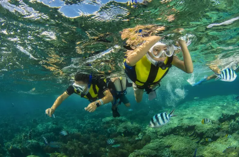 sustainable snorkeling gear sustainable snorkeling gear