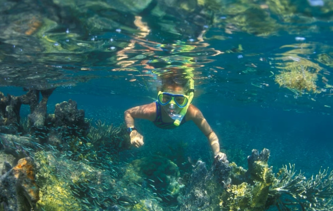 calm water snorkeling spots