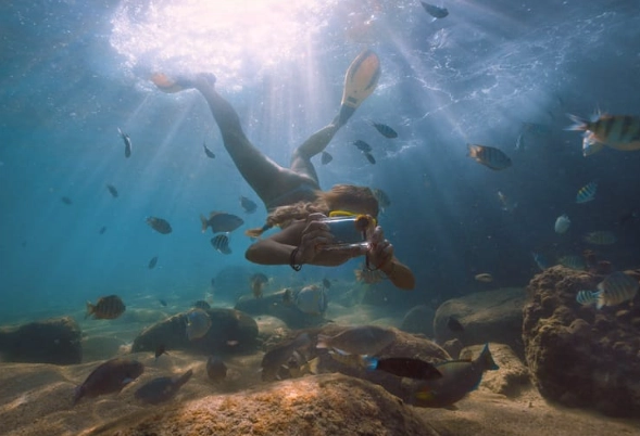 reef-safe sunscreen reef-safe sunscreen