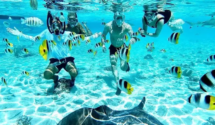 group snorkeling tours