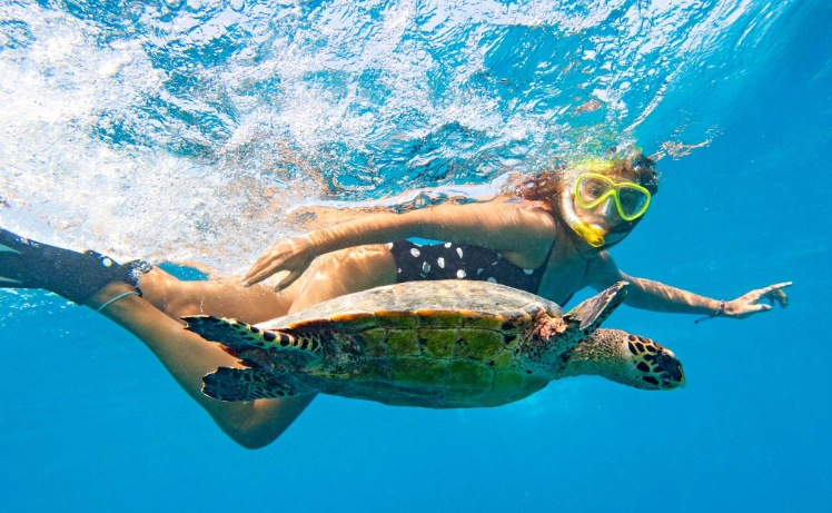 best calm snorkeling spots