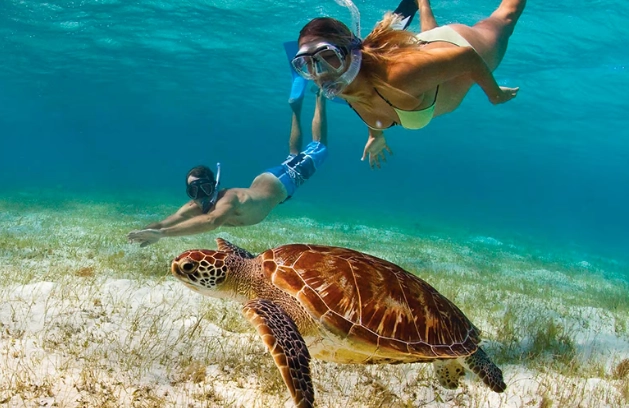 snorkeling beach vacation