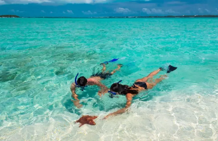 snorkeling gear essentials