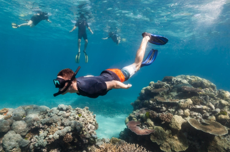 coral reef snorkeling