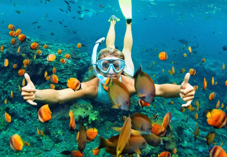 snorkeling conservation tips