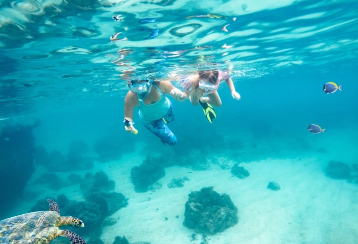 best snorkeling spots
