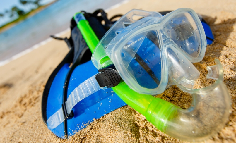 marine conservation snorkeling equipment