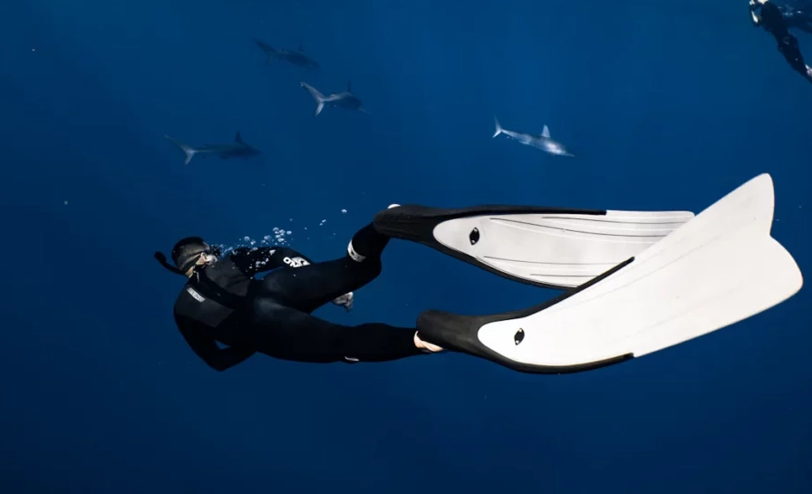 best snorkeling fins