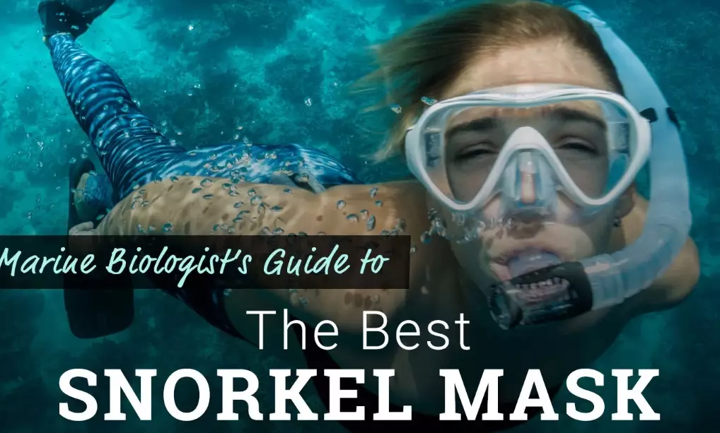 best wide view snorkel mask