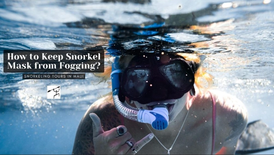 best anti-fog for snorkeling