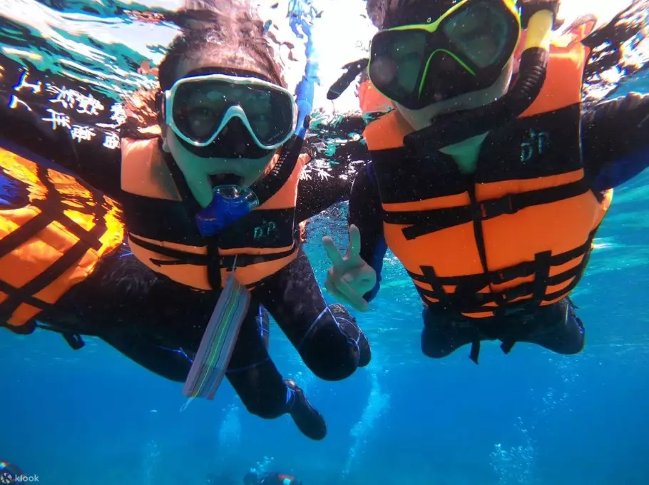snorkeling buddy system rules