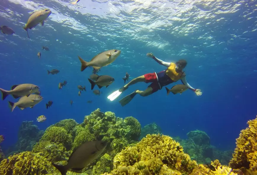 best snorkeling destinations