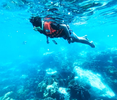 cold water snorkeling