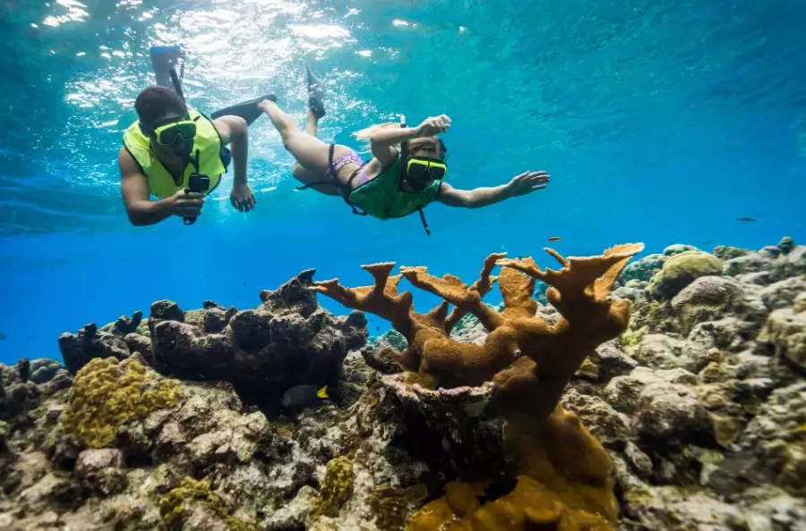 coral reef snorkeling tips