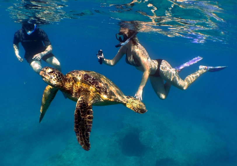 best snorkeling destinations