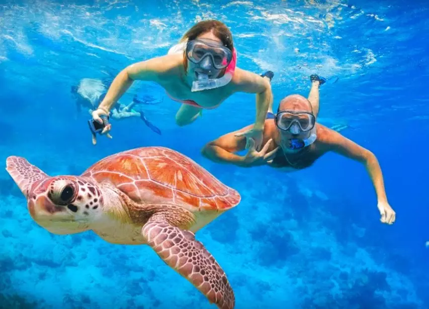 snorkeling gear guide