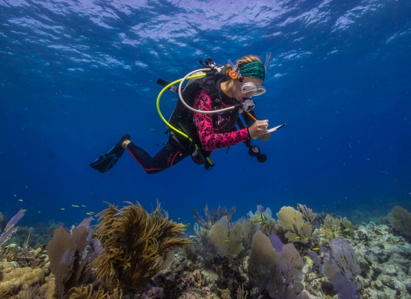 coral reef conservation