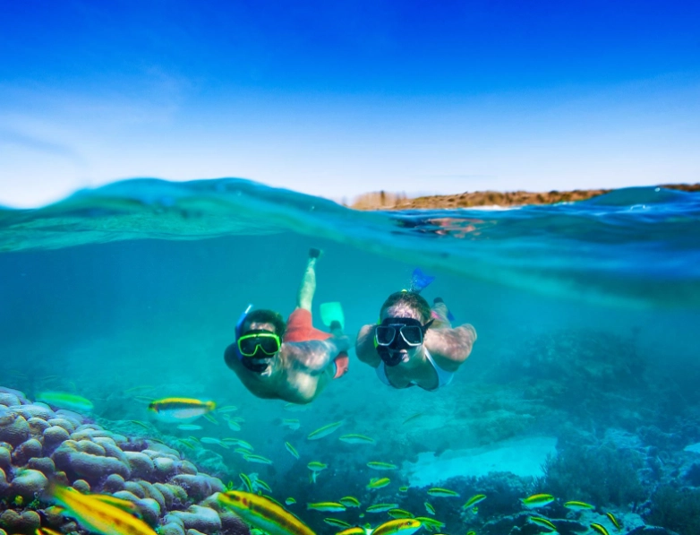 snorkeling in cold water