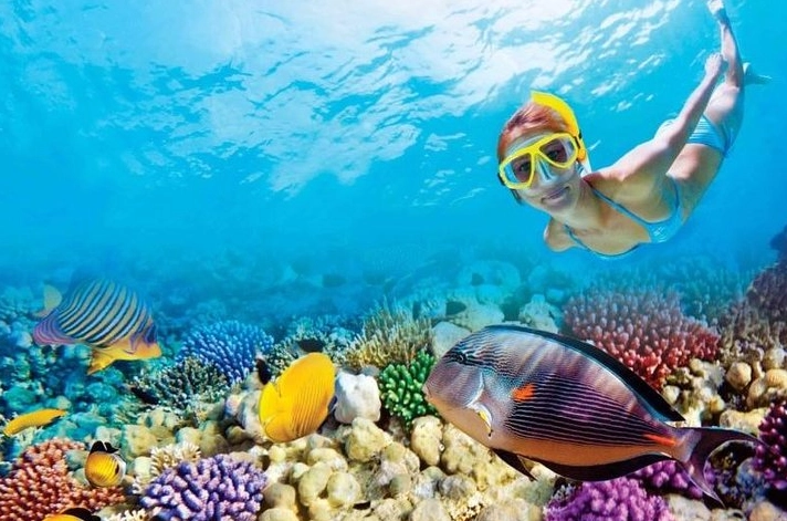 coral reef snorkeling tips