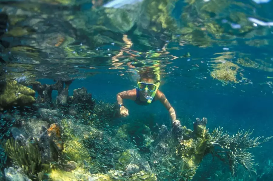 snorkeling for beginners