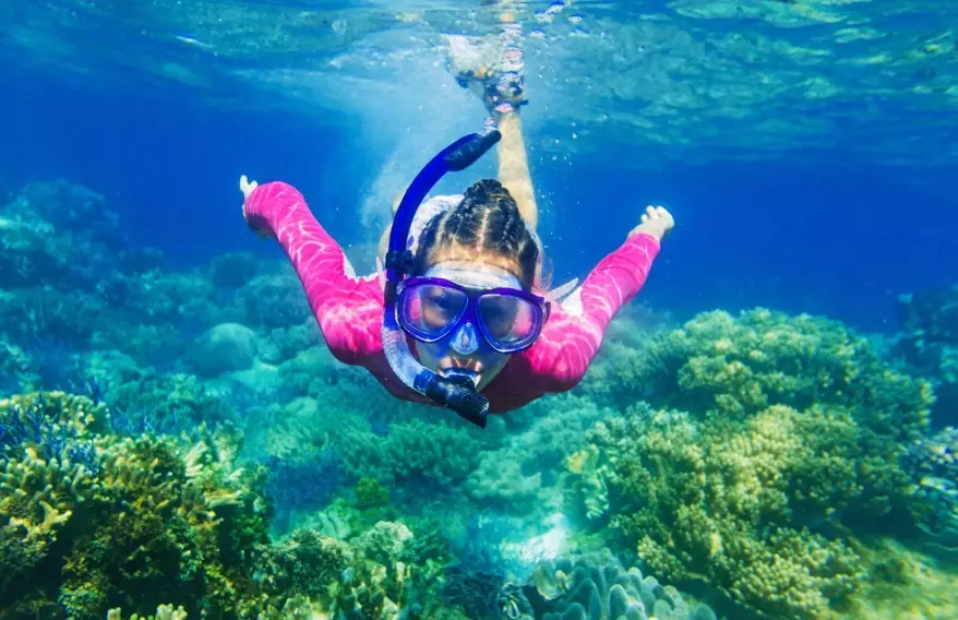 snorkeling tours