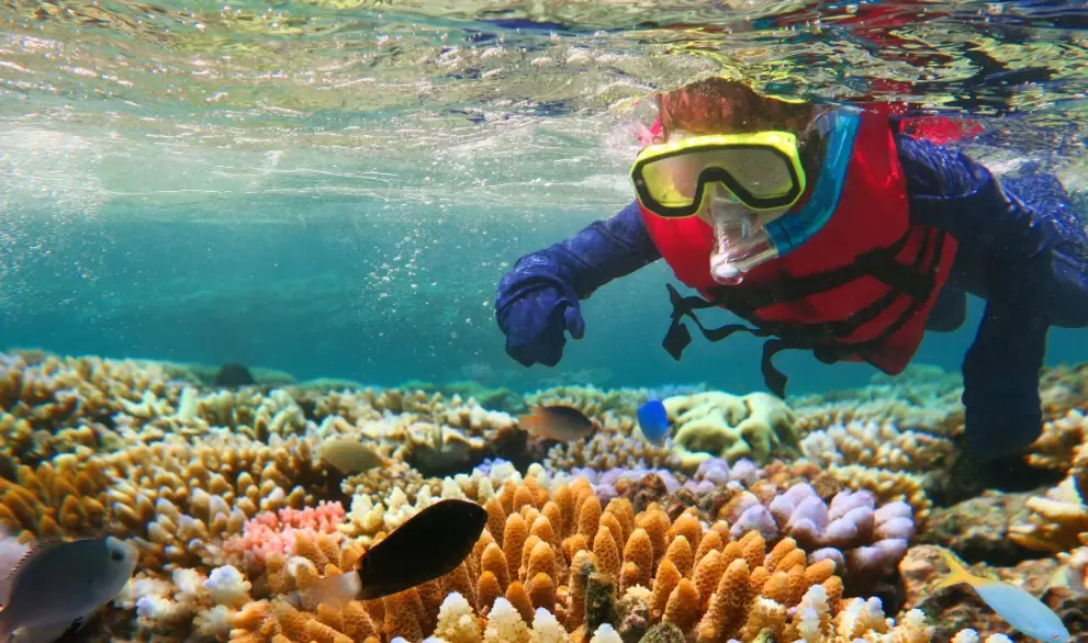 responsible snorkeling practices