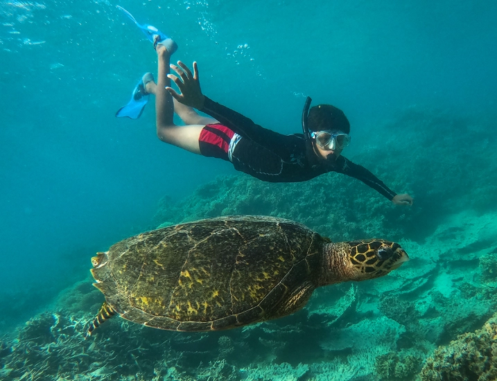 sustainable snorkeling