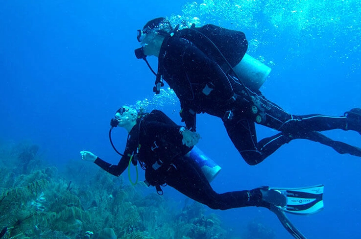 snorkeling water temperature