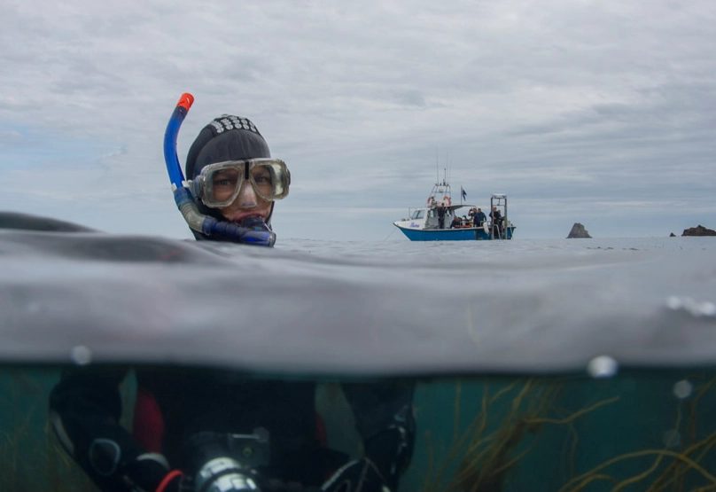 snorkeling in cold water