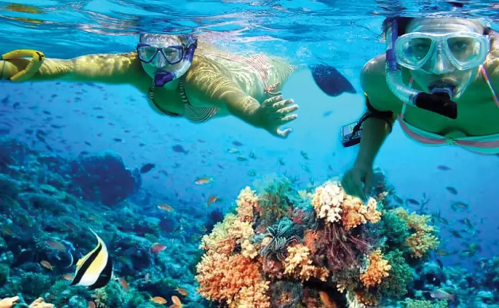 snorkeling gear guide