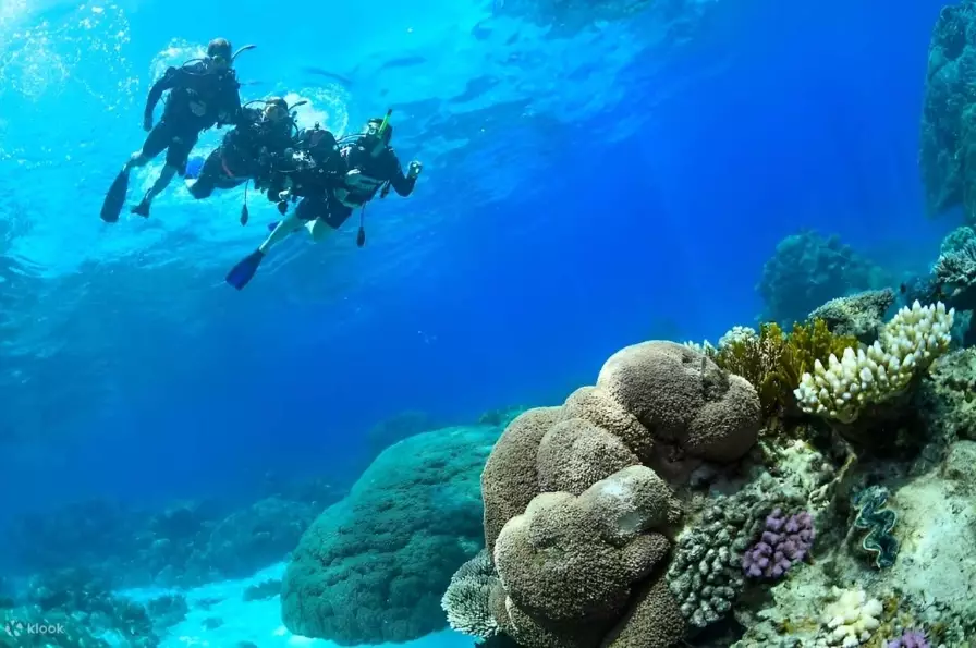 best snorkeling destinations