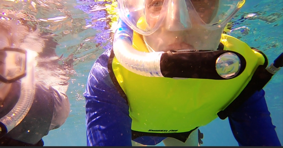 snorkeling safety vest