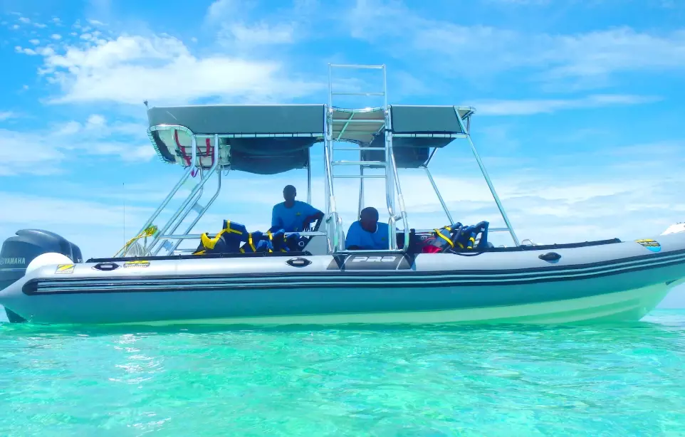 boat snorkeling adventures