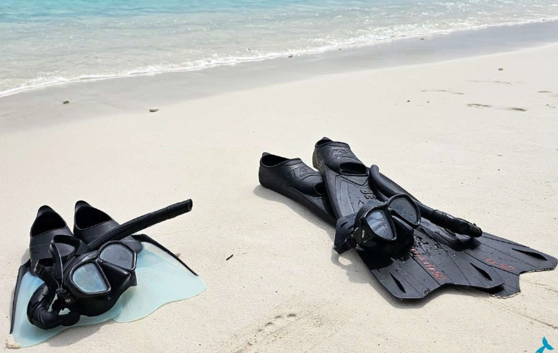 snorkeling equipment for beginners