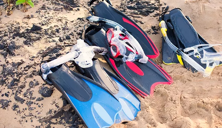 beginner snorkeling gear