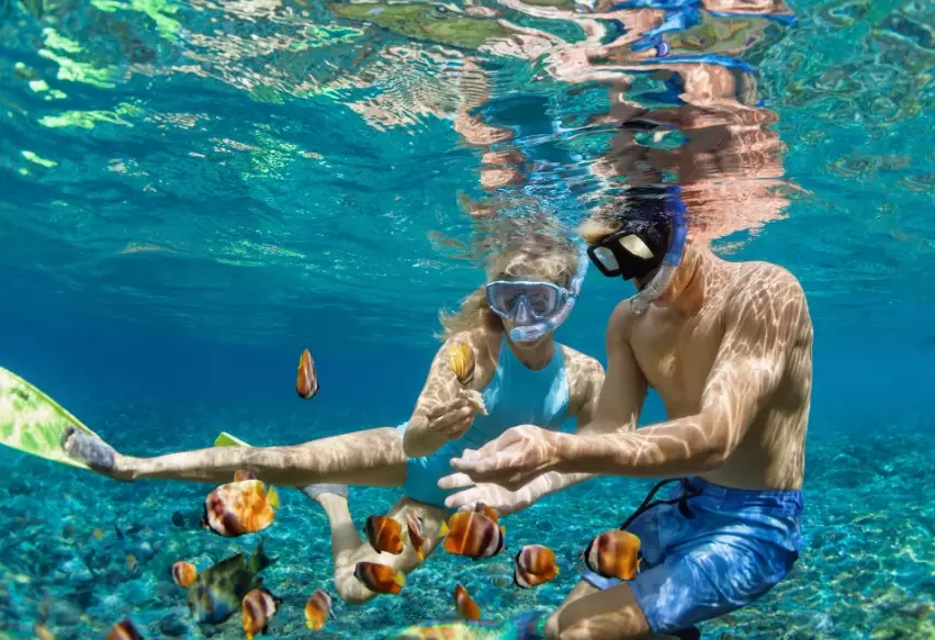 how to choose a snorkel how to choose a snorkel