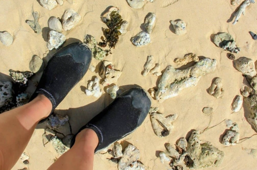 snorkeling foot protection snorkeling foot protection