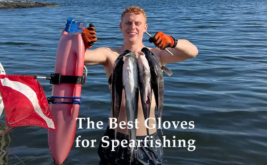 spearfishing gloves maintenance spearfishing gloves maintenance