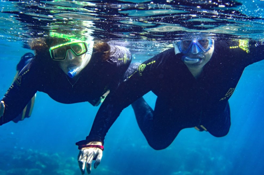 snorkel for beginners adults snorkel for beginners adults