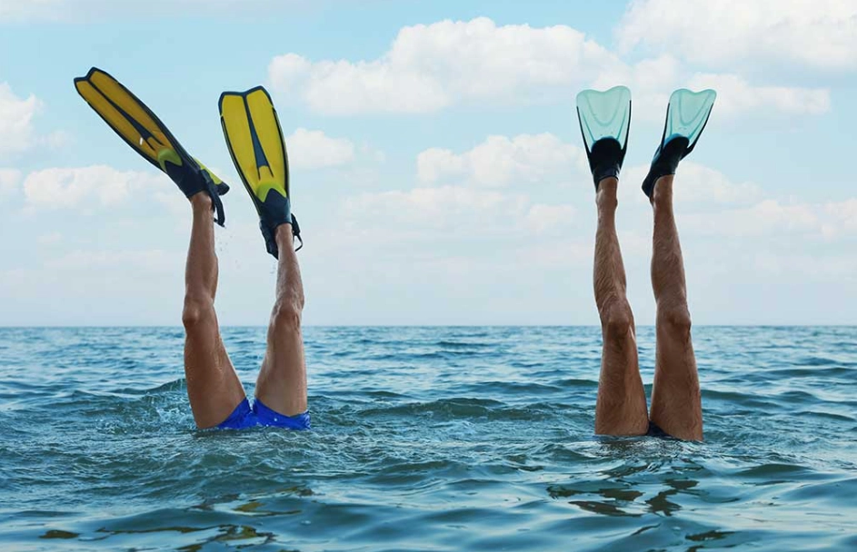 short fins vs long fins short fins vs long fins