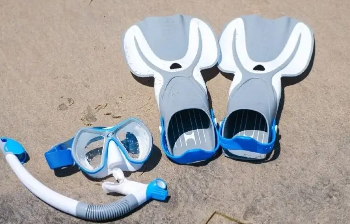 short fins vs long fins short fins vs long fins
