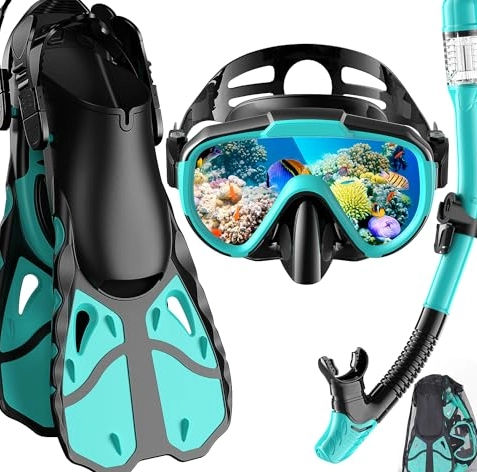 beginner snorkel gear beginner snorkel gear