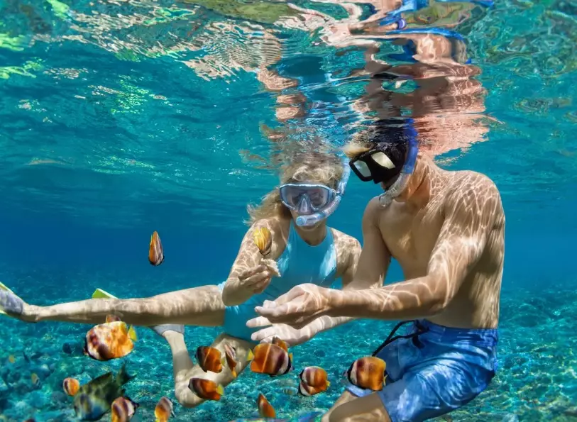 how much is a snorkel how much is a snorkel